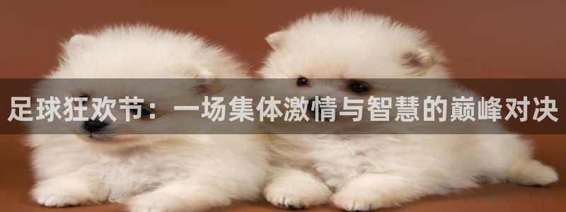 搜球体育直播app：足球狂欢节：一场集体激情与智慧的巅峰对决