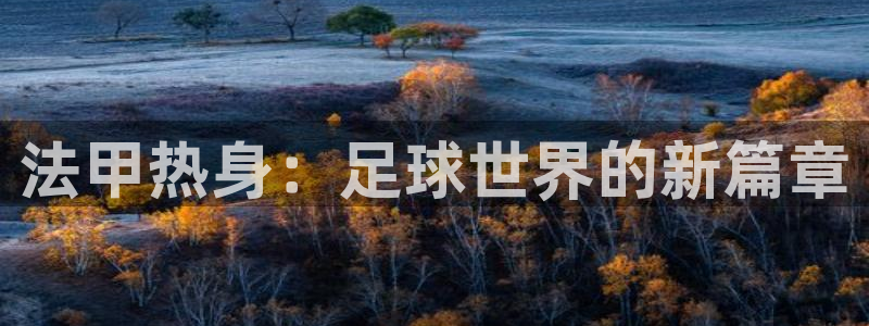 搜球8直播nba直播：法甲热身：足球世界的新篇章