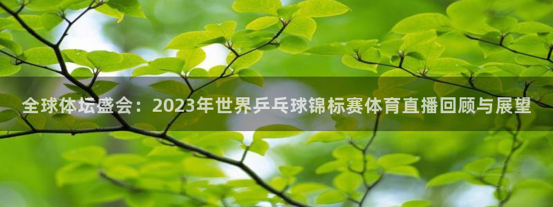 搜球直播体育：全球体坛盛会：2023年世界乒乓球锦标赛体育直播回顾与展望