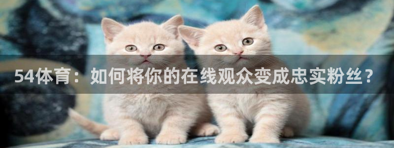 搜球直播：54体育：如何将你的在线观众变成忠实粉丝？