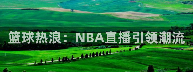 搜球直播体育：篮球热浪：NBA直播引领潮流