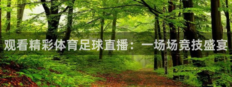 搜球吧直播nba直播：观看精彩体育足球直播：一场场竞技盛宴