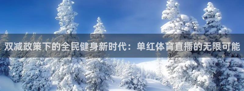 搜球吧 直播：双减政策下的全民健身新时代：单红体育直播的无限可能