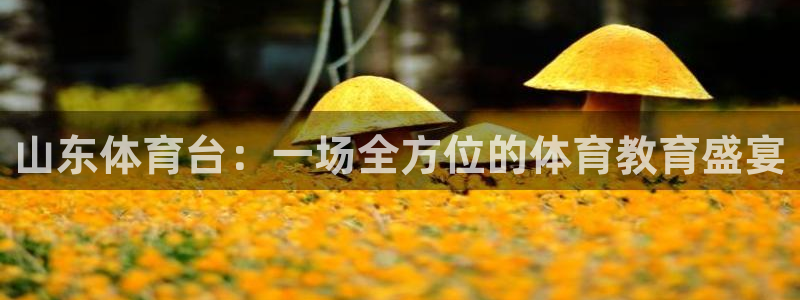 搜球体育：山东体育台：一场全方位的体育教育盛宴