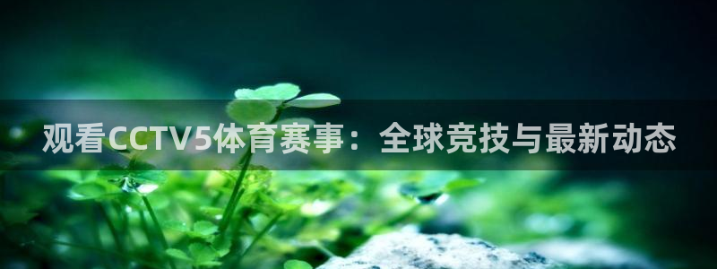 搜球吧8直播免费观看：观看CCTV5体育赛事：全球竞技与最新动态