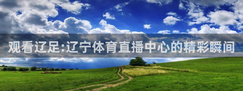 搜球吧在线直播nba：观看辽足:辽宁体育直播中心的精彩瞬间