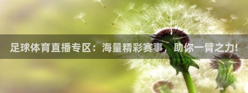 搜球吧手机直播nba直播：足球体育直播专区：海量精彩赛事，助你一臂之力!