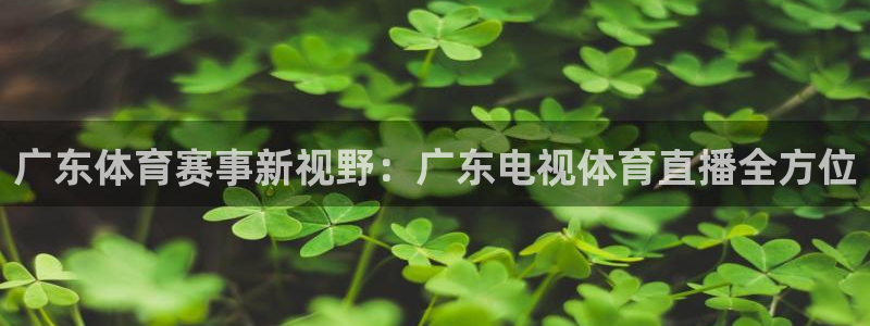 搜球吧手机直播nba直播