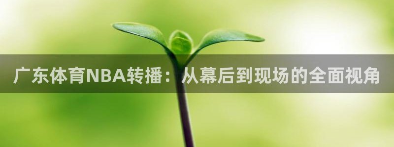 搜球体育官网