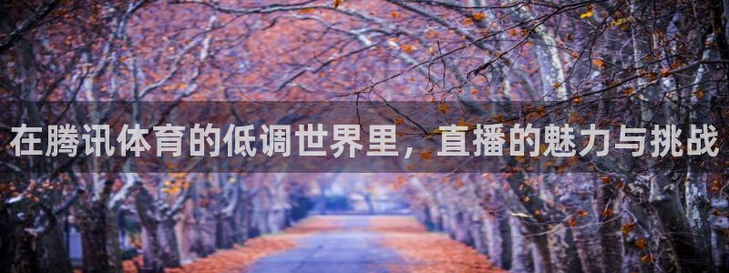 搜球吧8直播免费观看：在腾讯体育的低调世界里，直播的魅力与挑战